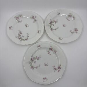 Antique MZ Austria Fine Porcelain Pink Floral Scalloped Plates Set Of 3